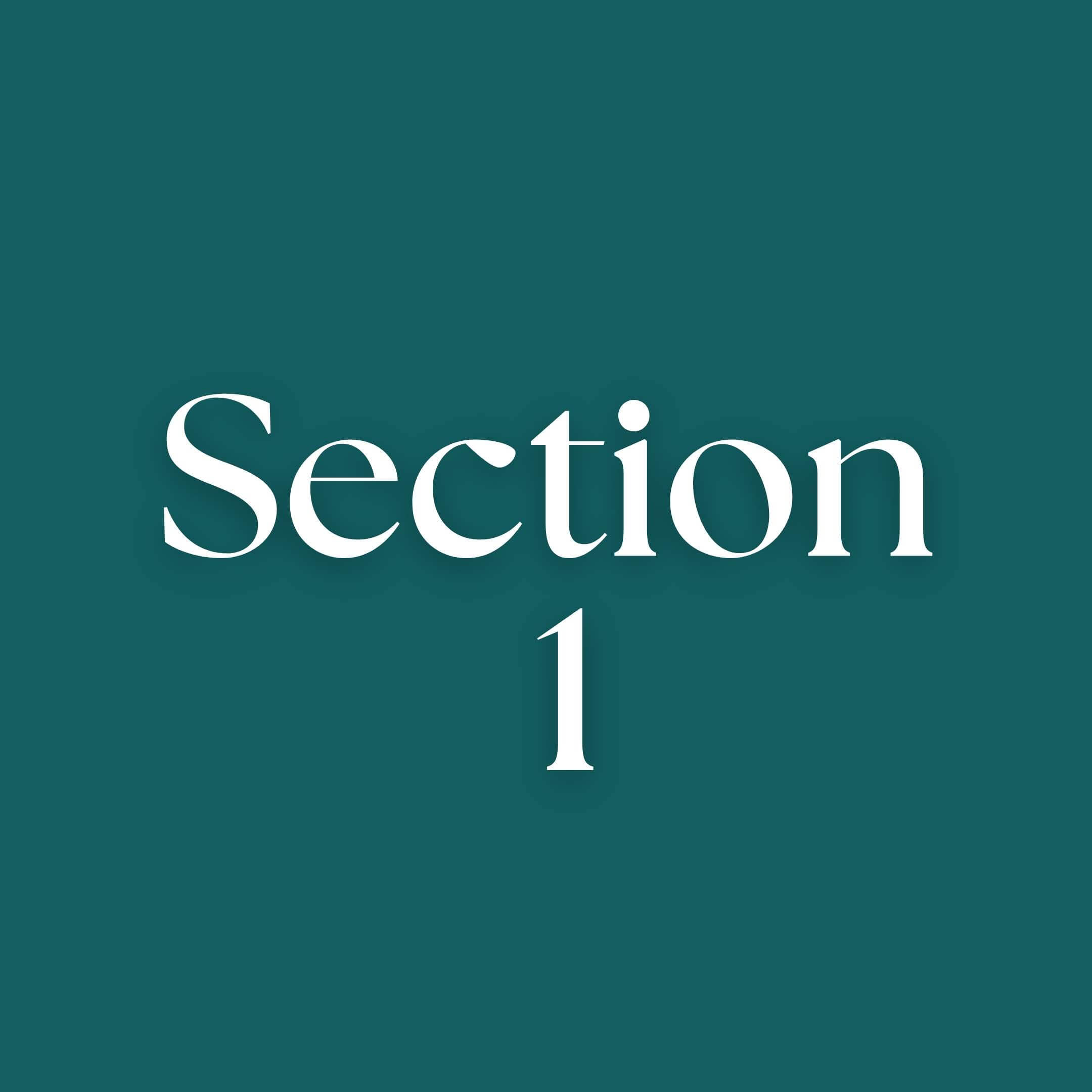 Section 1