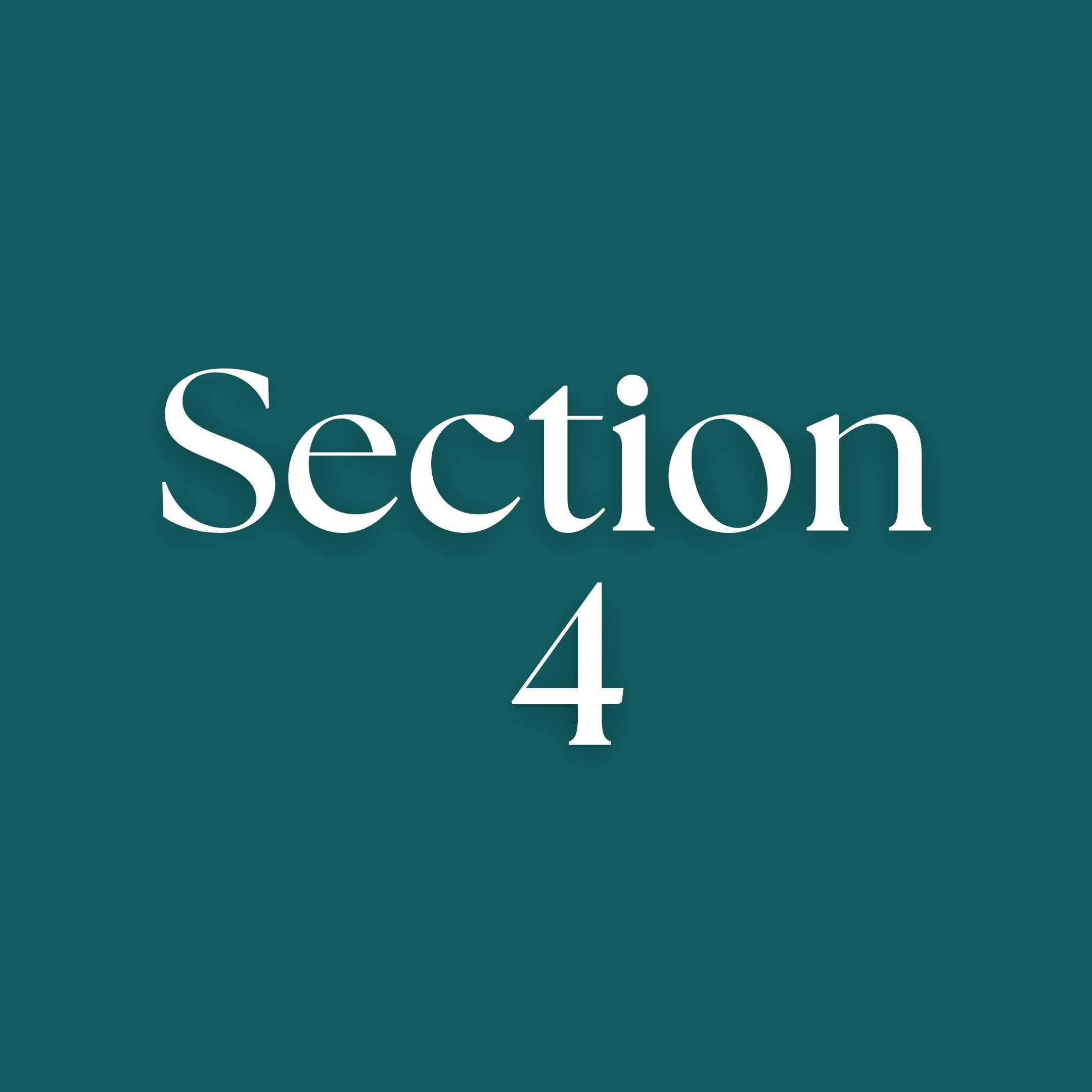 Section 4