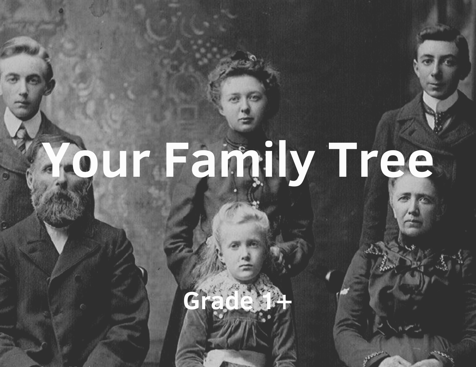 Your Family Tree