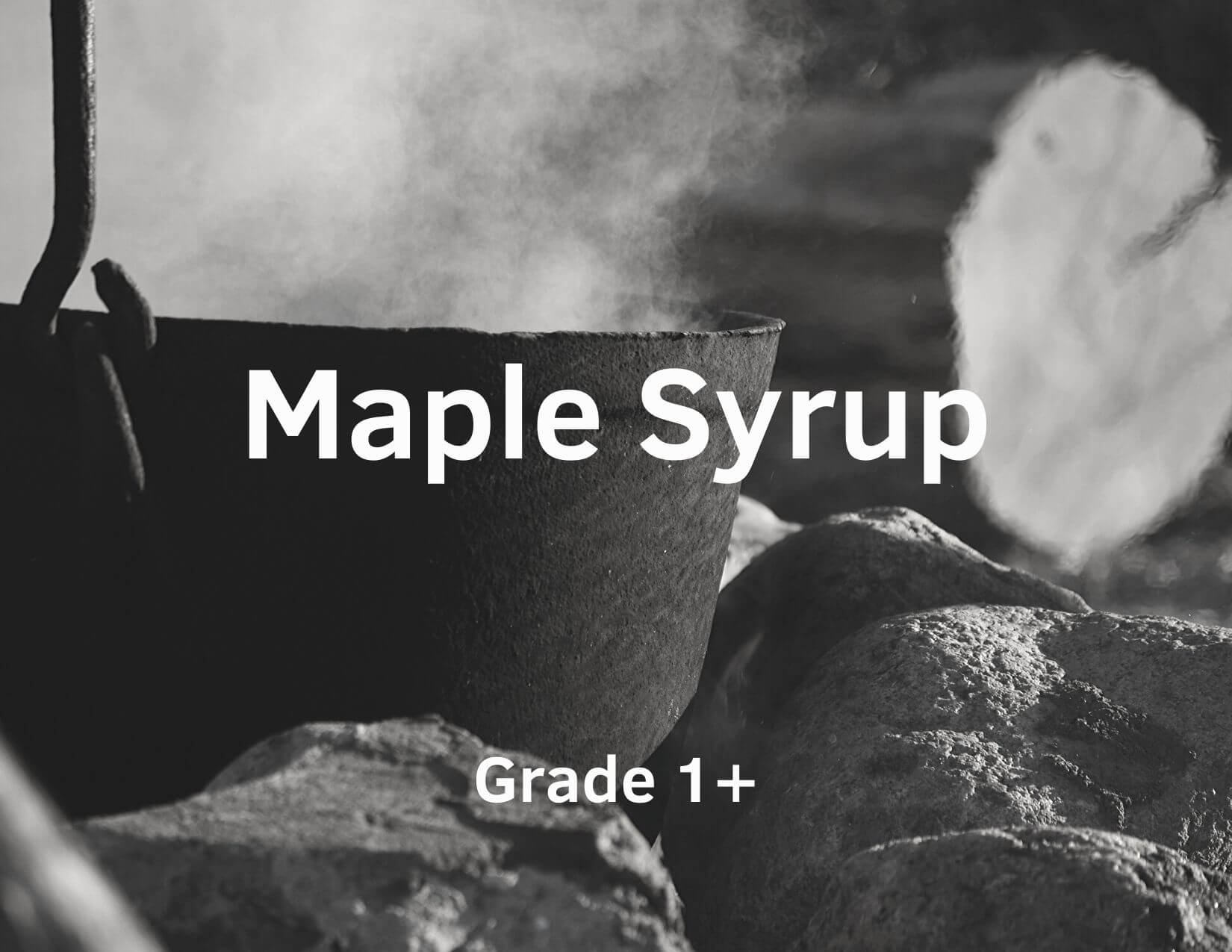 Maple Syrup