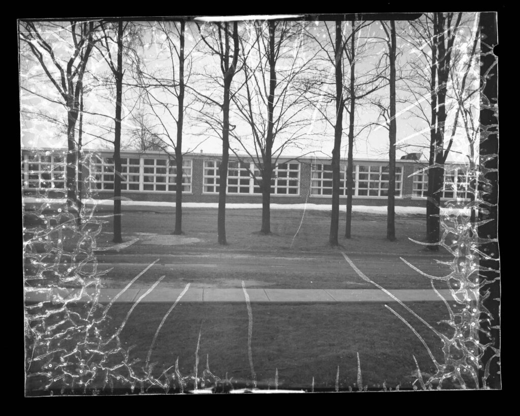 photograph negative picture of school building behind a stand of trees