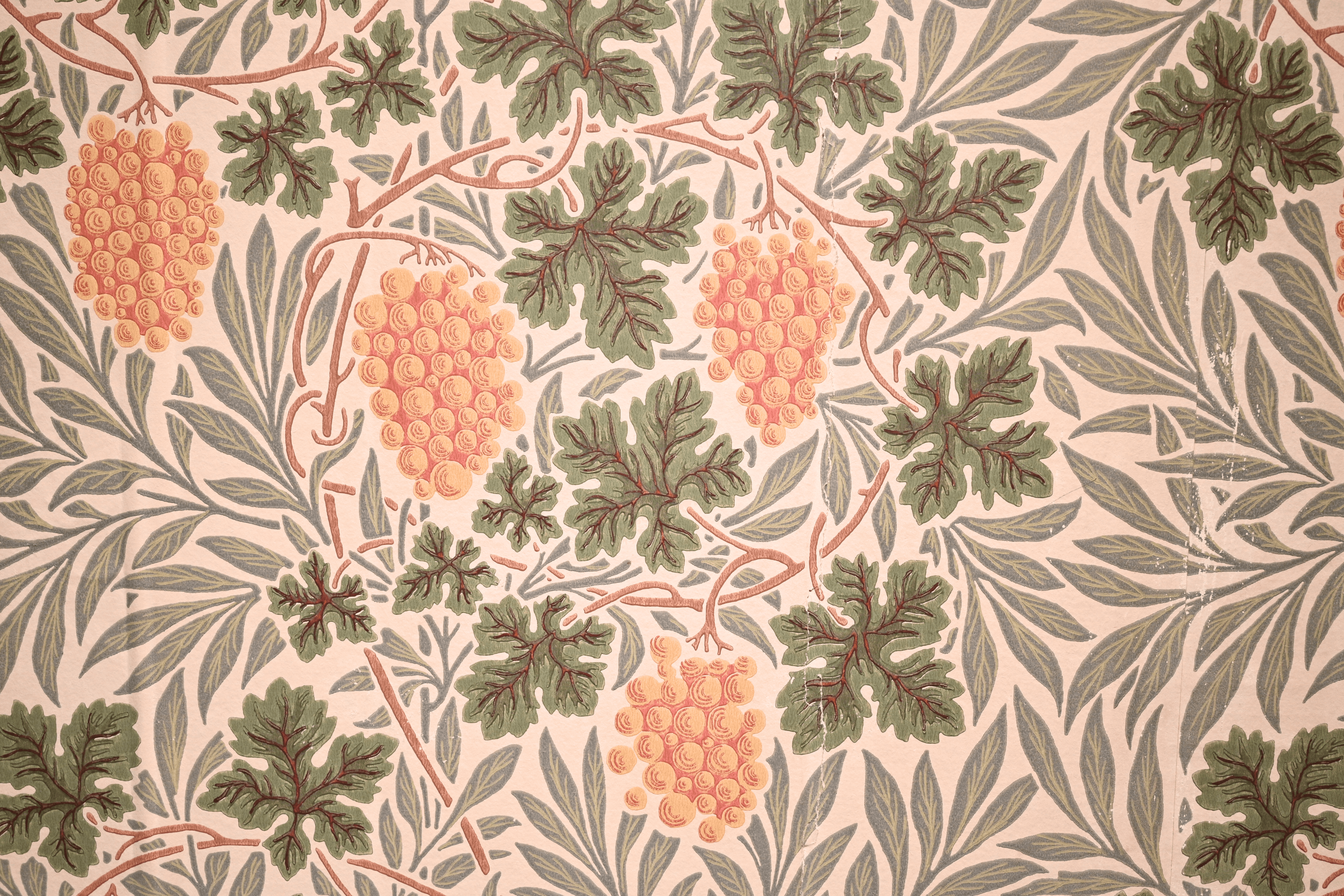 A busy wallpaper with orange grapes, green grape leaves and pale green small leaves.