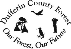 Dufferin County Forest Logo